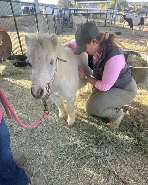 Housing activation and safe sites